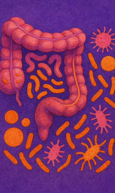Microbiota intestinal